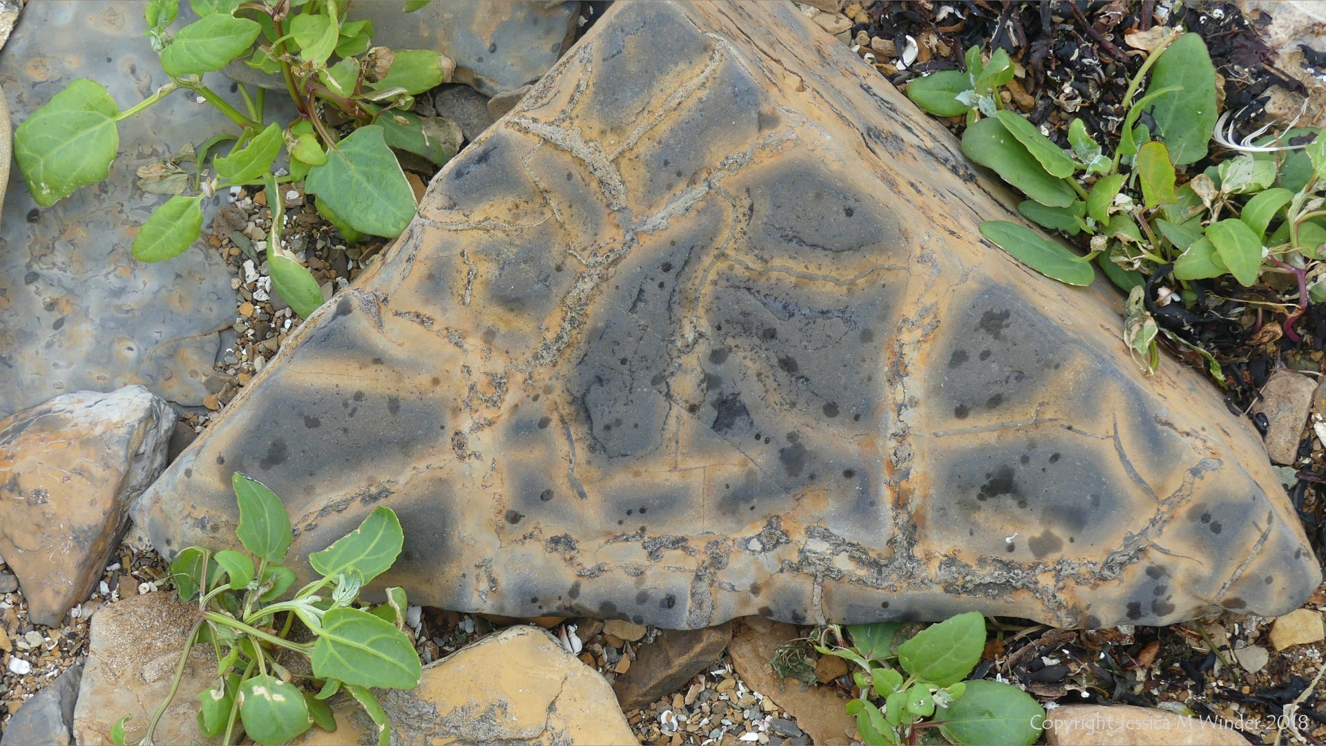 Stones on the seashore at Hamnavoe in Orkney