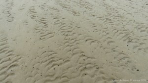 Natural patterns in the sand