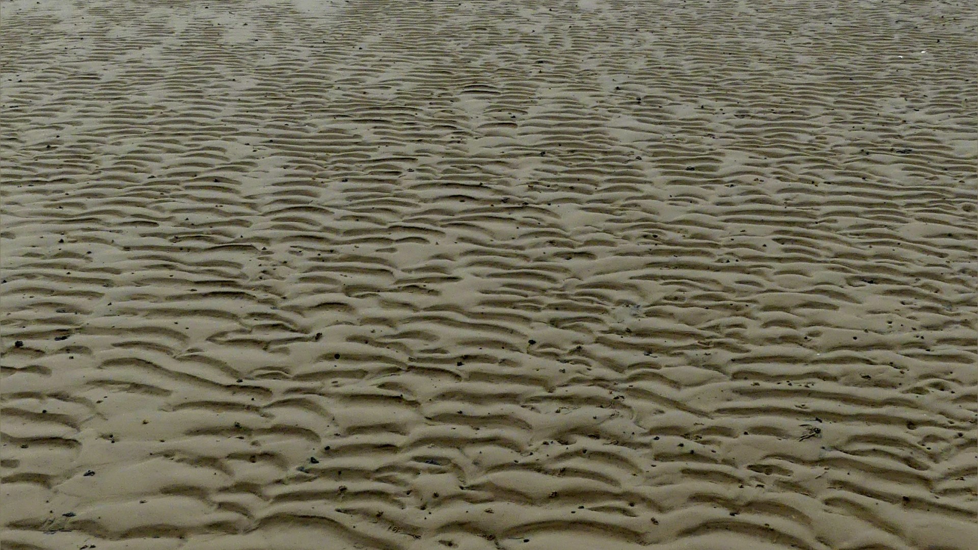 Natural patterns in the sand