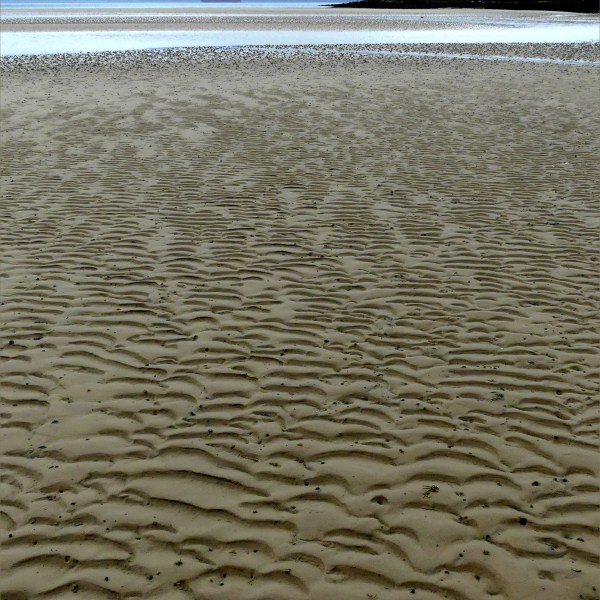 Natural patterns in the sand