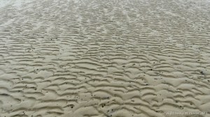 Natural patterns in the sand