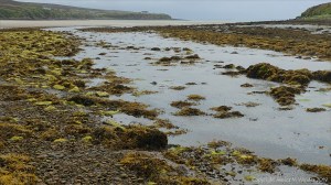 Mill Burn flowing out across Waulkmill Bay in West Mainland, Orkney.