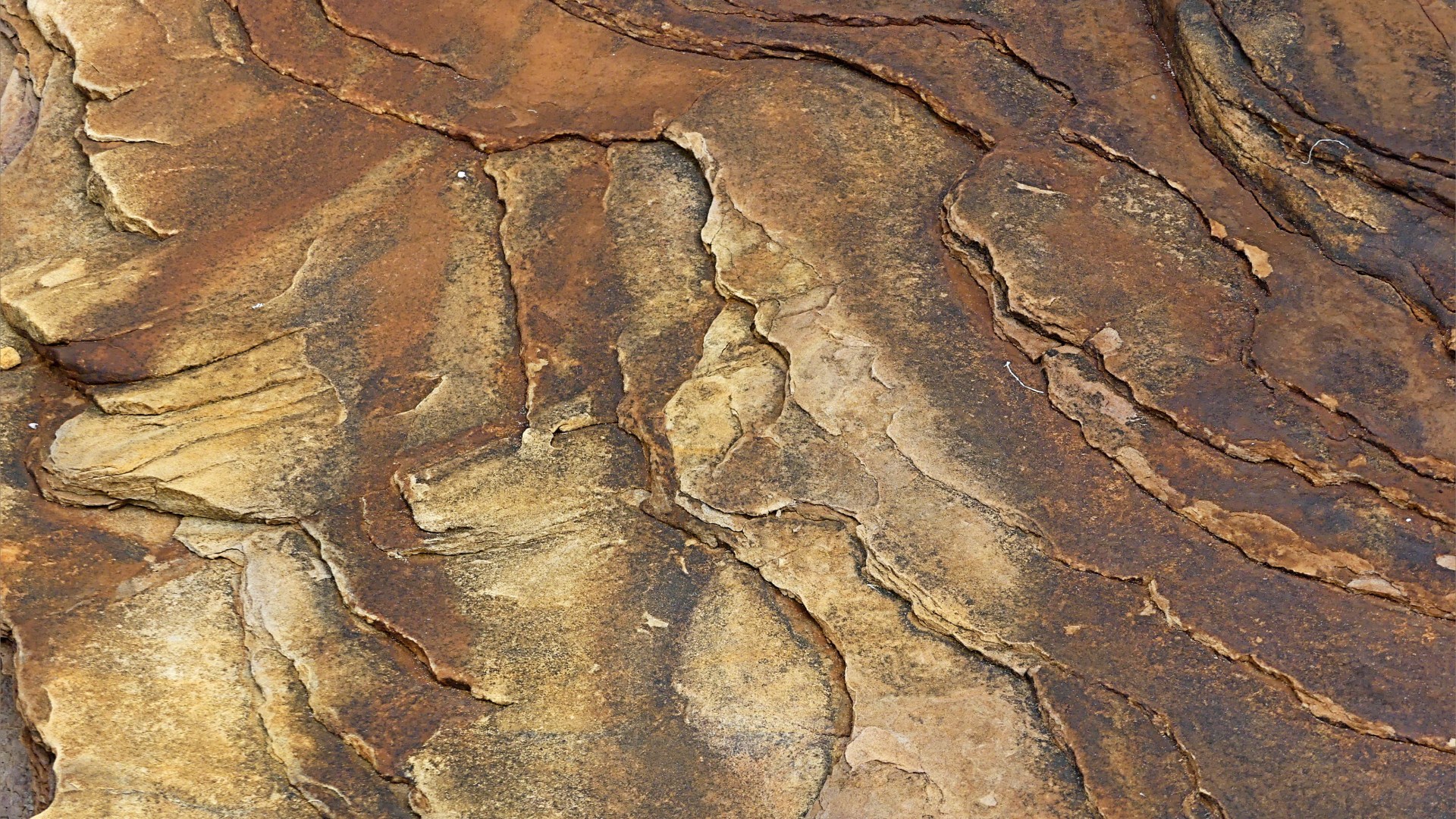 Water-worn sedimentary rock strata on the seashore