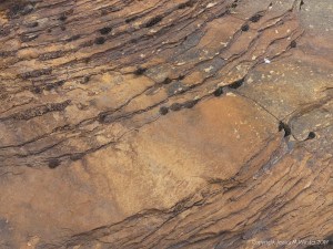 Water-worn sedimentary rock strata on the seashore
