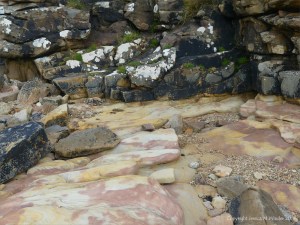 Pink, yellow, and buff Eday Group sedimentary rock on Orkney