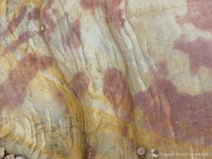 Pink, yellow, and buff Eday Group sedimentary rock on Orkney