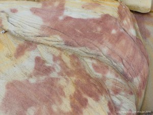 Pink, yellow, and buff Eday Group sedimentary rock on Orkney