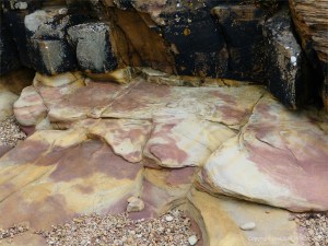 Pink, yellow, and buff Eday Group sedimentary rock on Orkney