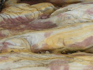 Pink, yellow, and buff Eday Group sedimentary rock on Orkney
