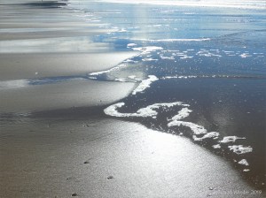 Wet sand gleaming in sunlight