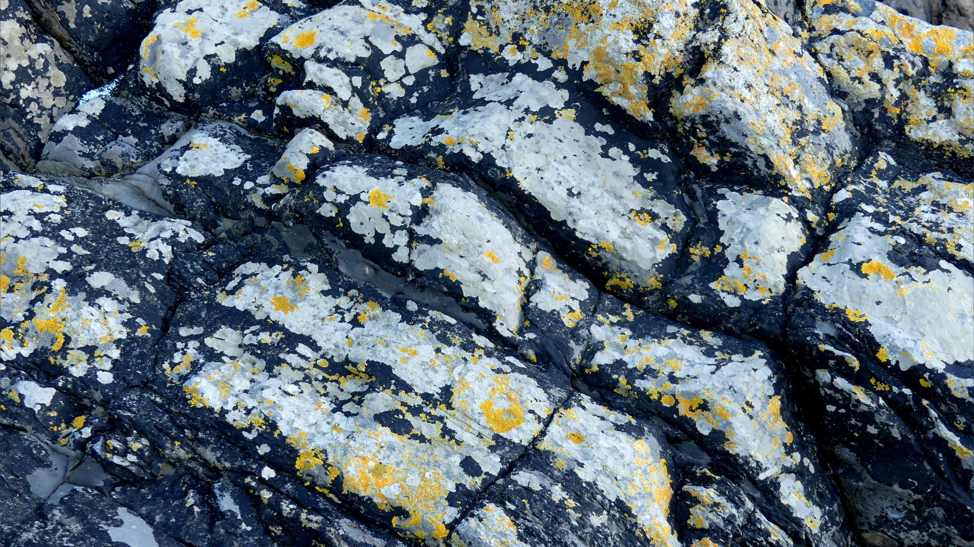 Sedimentary rock strata patterns