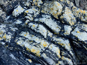 Sedimentary rock strata patterns