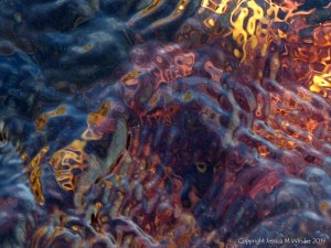 Brightly coloured seaweed beneath the waves