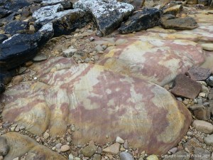 Pink, yellow, and buff Eday Group sedimentary rock on Orkney