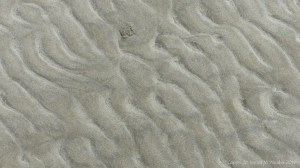 Natural patterns in the sand