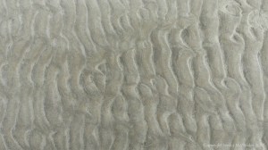 Natural patterns in the sand