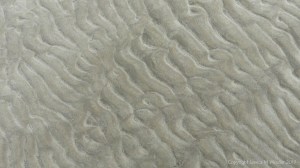 Natural patterns in the sand