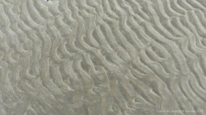 Natural patterns in the sand
