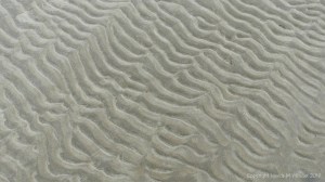 Natural patterns in the sand