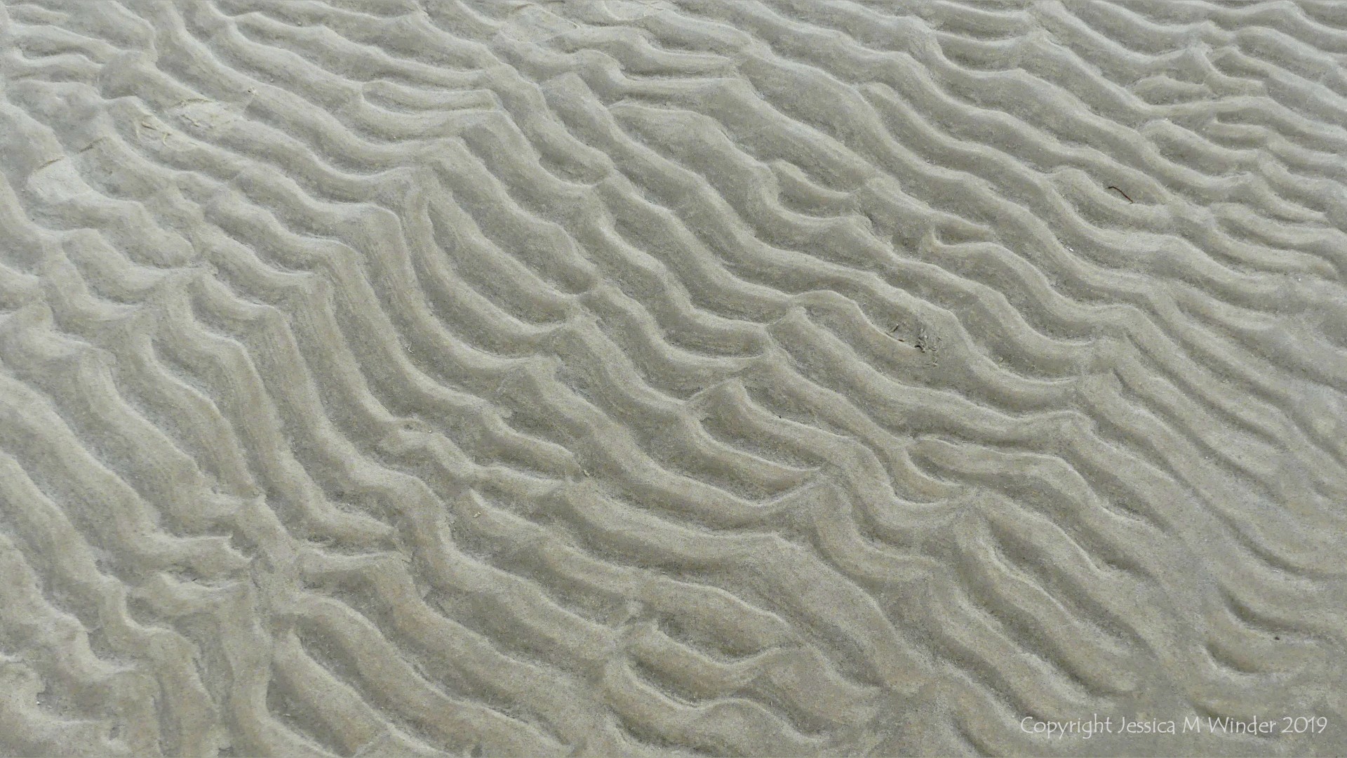 Natural patterns in the sand