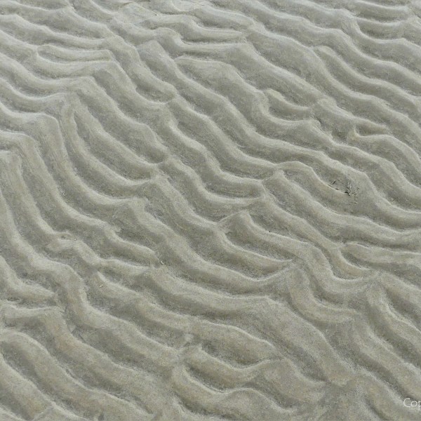 Natural patterns in the sand