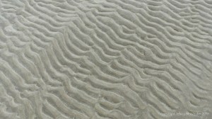 Natural patterns in the sand