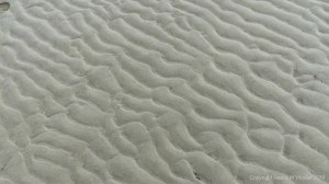 Natural patterns in the sand
