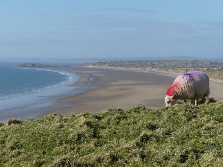 View of Rhossili Bay looking north