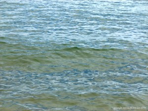 Natural patterns of reflected light on the surface of calm sea water