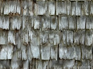 Texture and pattern in weathered wooden wall tiles in Grand Manan