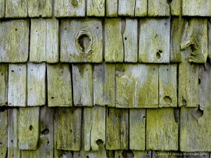 Texture and pattern in weathered wooden wall tiles in Grand Manan