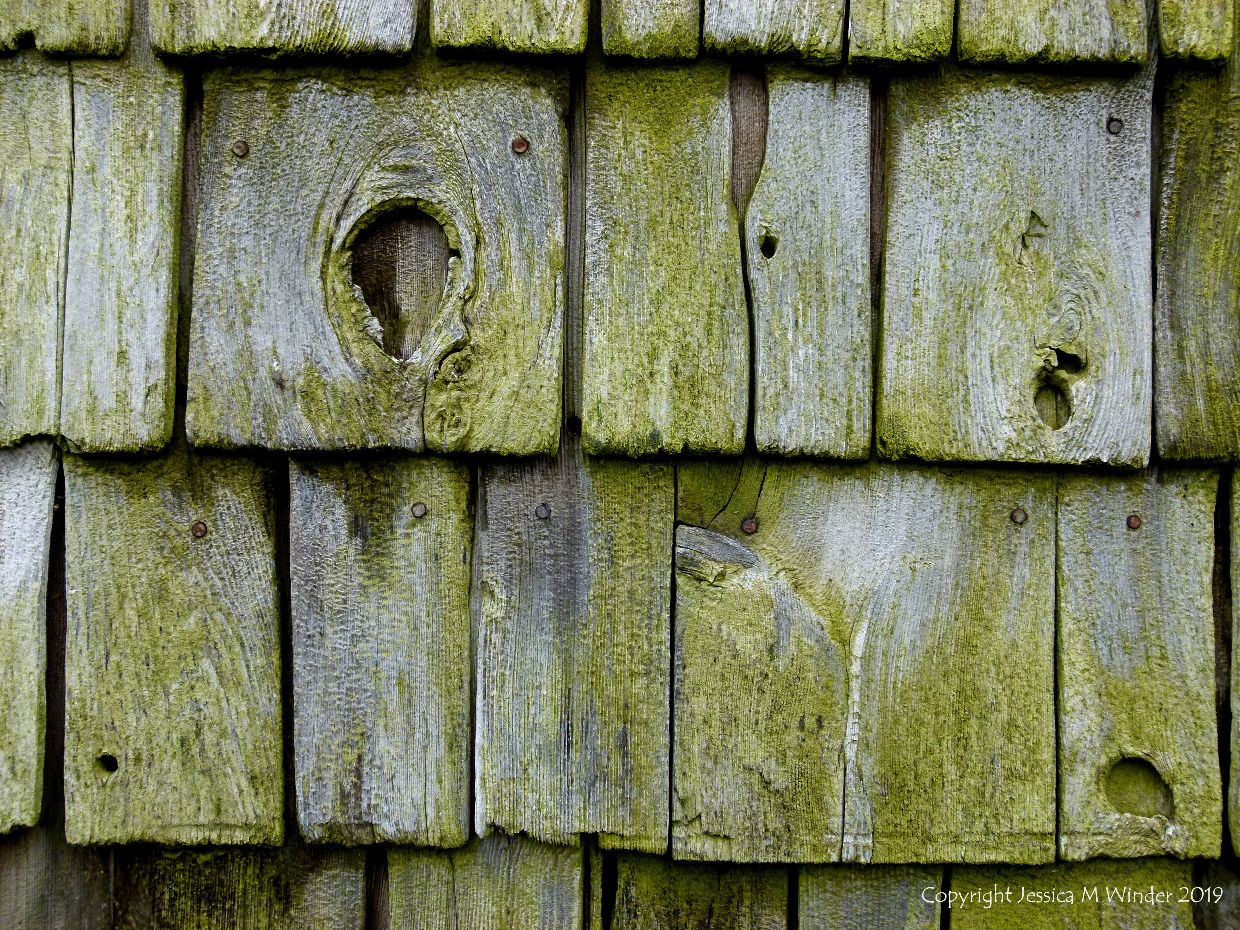 Texture and pattern in weathered wooden wall tiles in Grand Manan