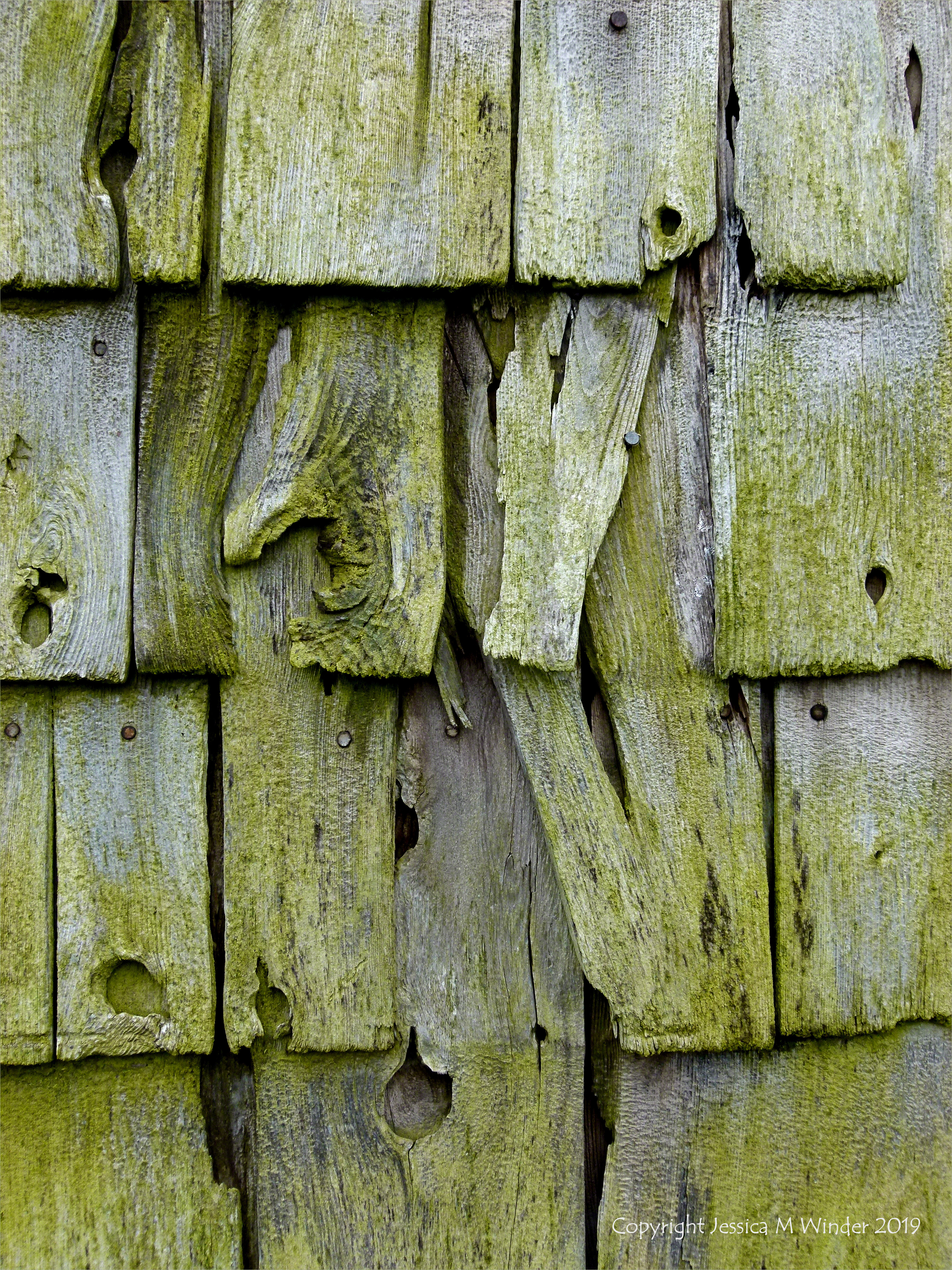 Texture and pattern in weathered wooden wall tiles in Grand Manan
