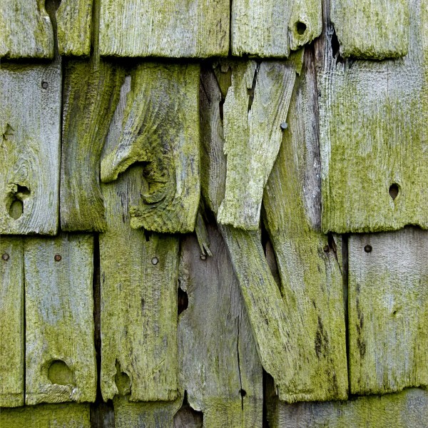 Texture and pattern in weathered wooden wall tiles in Grand Manan
