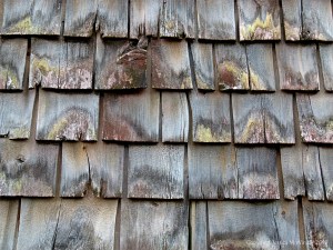 Texture and pattern in weathered wooden wall tiles in Grand Manan