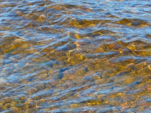 Water colour, pattern, and texture on the edge of Loch Ness