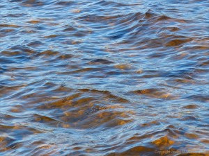 Water colour, pattern, and texture on the edge of Loch Ness