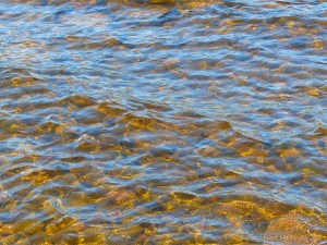 Water colour, pattern, and texture on the edge of Loch Ness