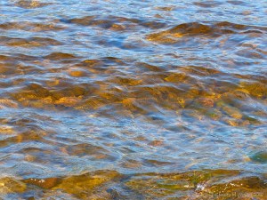 Water colour, pattern, and texture on the edge of Loch Ness