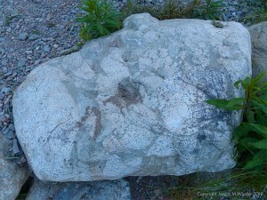 Boulder on the bank of Loch Ness