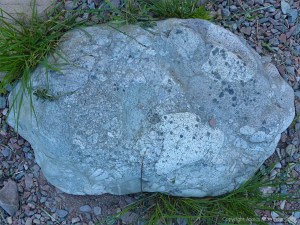 Boulder on the bank of Loch Ness