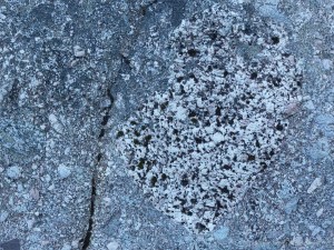 Detail of a boulder on the bank of Loch Ness