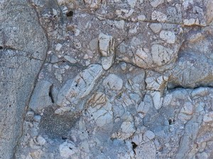 Detail of a boulder on the bank of Loch Ness