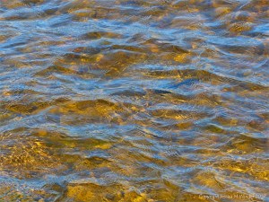 Water colour, pattern, and texture on the edge of Loch Ness
