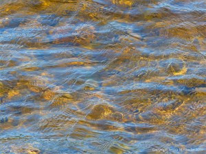 Water colour, pattern, and texture on the edge of Loch Ness