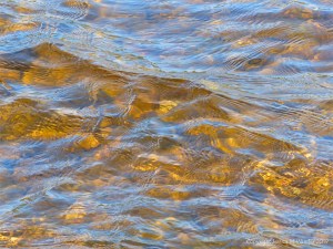 Water colour, pattern, and texture on the edge of Loch Ness