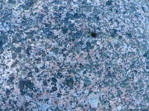 Detail of a boulder on the bank of Loch Ness