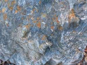 Detail of a boulder on the bank of Loch Ness