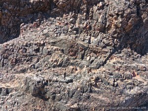 Aspects of Nature on a Scottish seashore