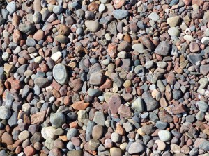 Aspects of Nature on a Scottish seashore